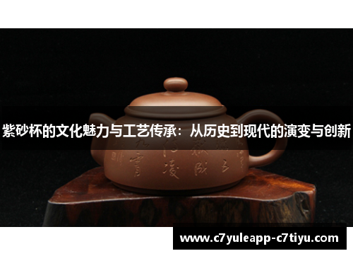 紫砂杯的文化魅力与工艺传承：从历史到现代的演变与创新