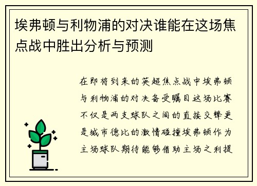埃弗顿与利物浦的对决谁能在这场焦点战中胜出分析与预测